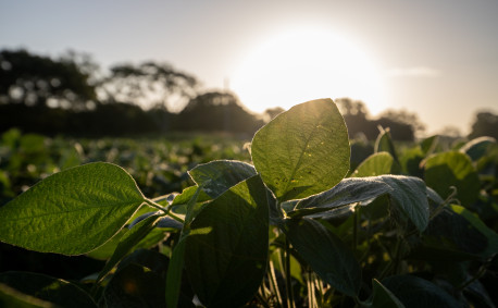 The Bellar family embraces precision agriculture and conservation practices that help protect both natural resources and the family's bottom line.