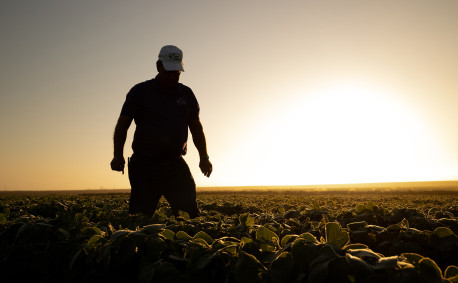 Ron Ohlde Kansas farmer field silhouette