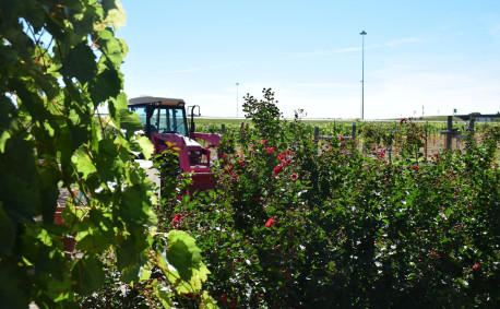 Wyldewood Cellars