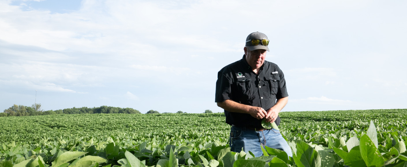 Brandon Geiger Kansas farmer walks his soybean field