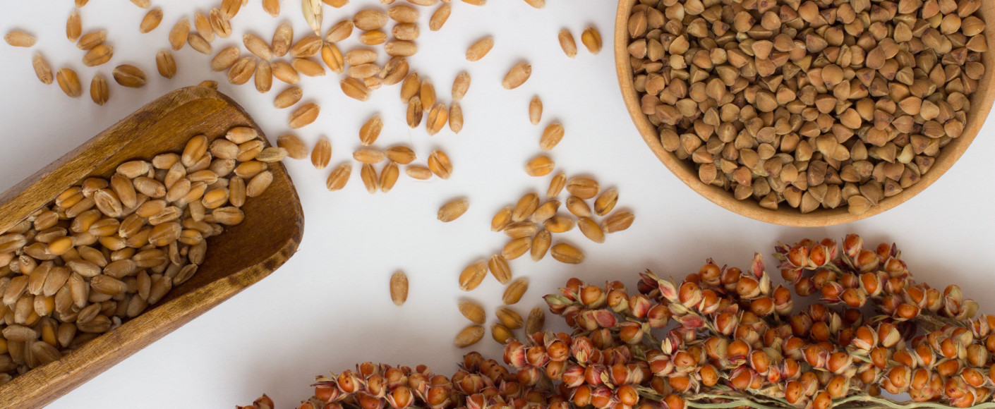 Sorghum Seed Sorghum Seed