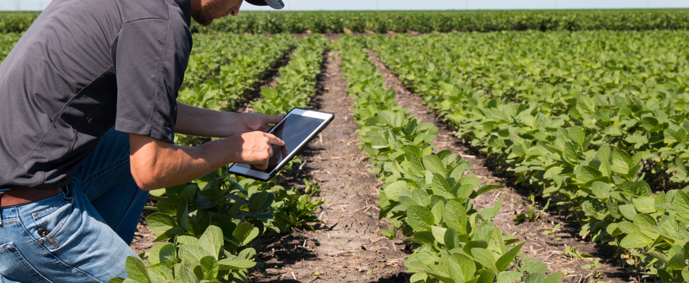 Farmer in Field With Technology Farmer in Field With Technology