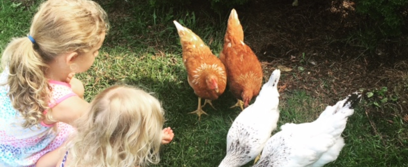 Get to Know a Farm Get to Know a Farm