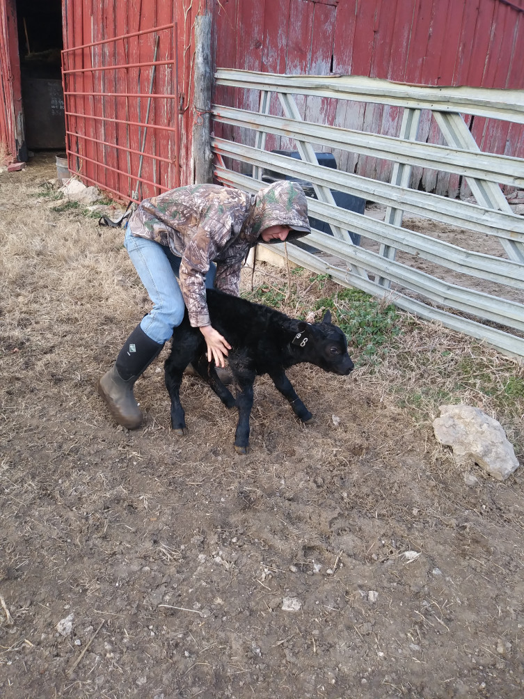 Derek Small Kids on Farm with Calf