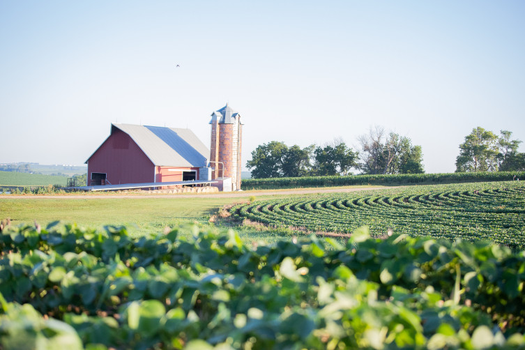 Neibling family farm - barn