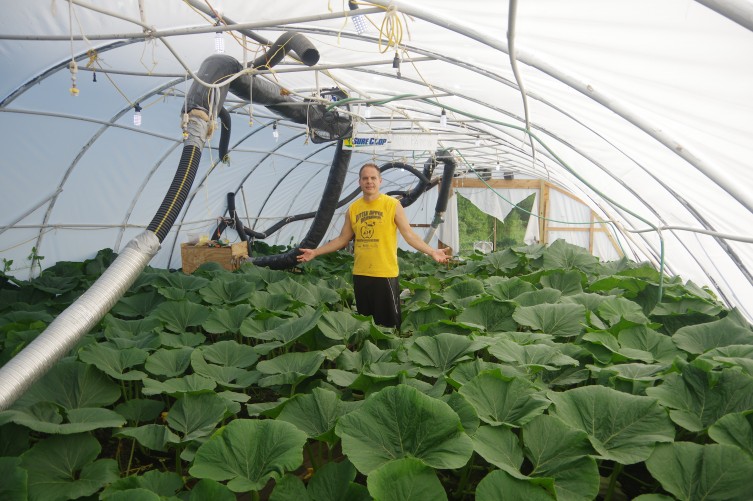 Jacob Marintzer in his giant pumpkin greenhouse