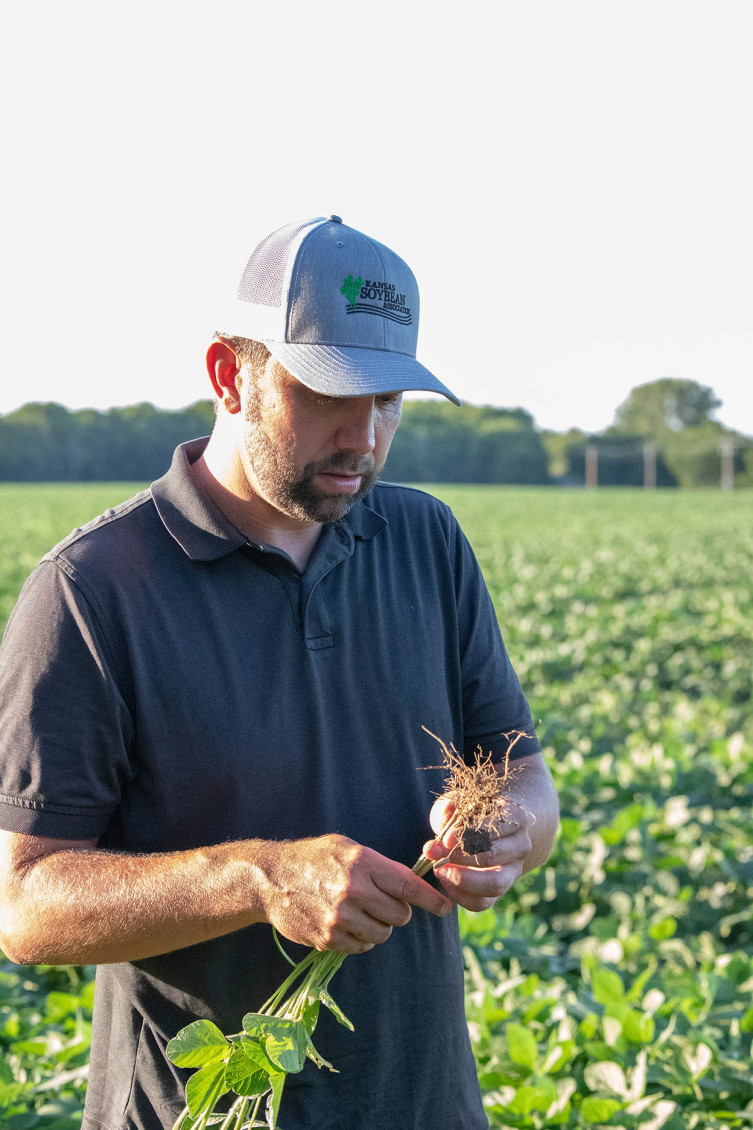 Daniel Anderes checking soybeans
