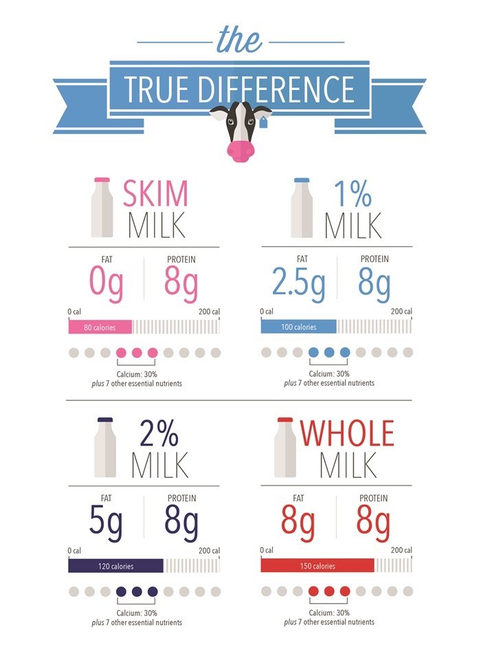 Dairy Fat Infographic Dairy Fat Infographic