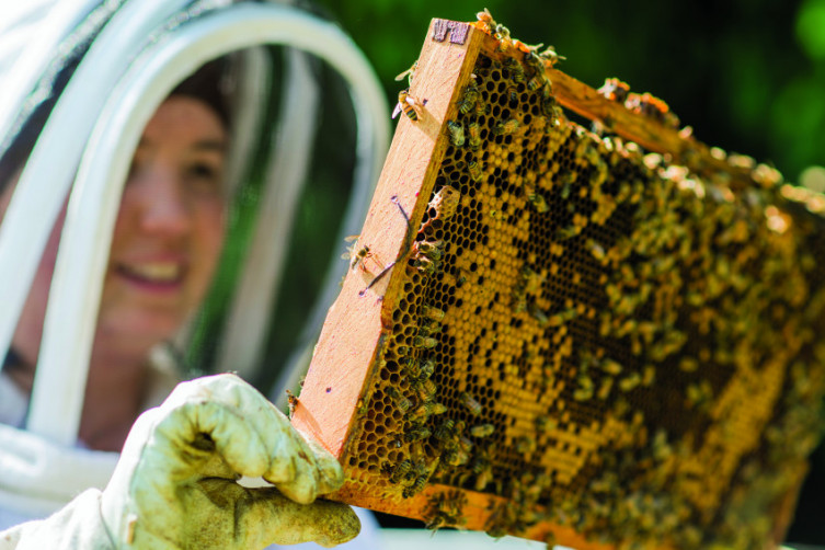 Beekeeper