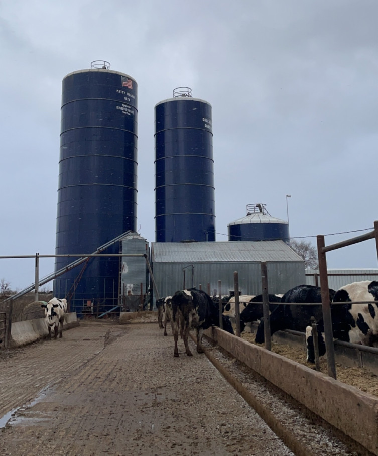 Heidi Wells - Kansas dairy farmer silos