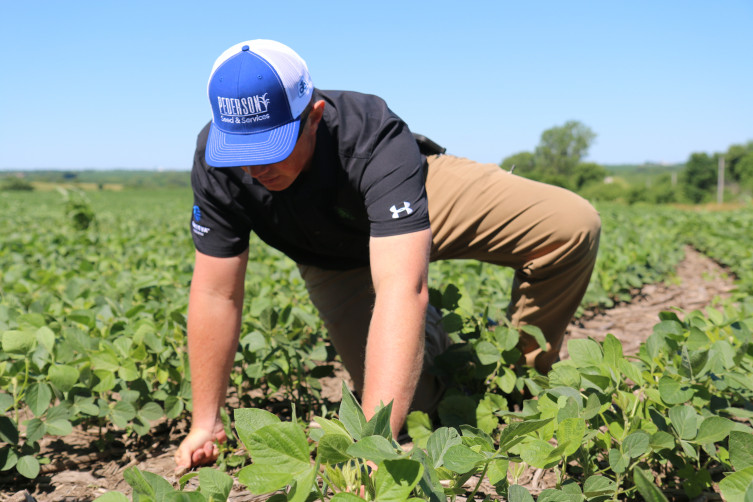 Agronomist Jeremy Olson inspecting field