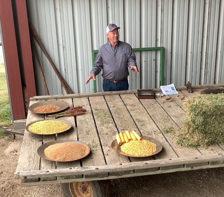 Kent Winter Kansas grain crops
