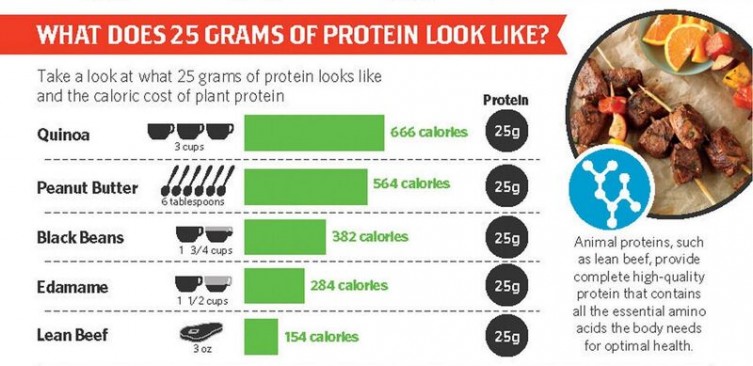 Get the Power of Protein with Beef Get the Power of Protein with Beef