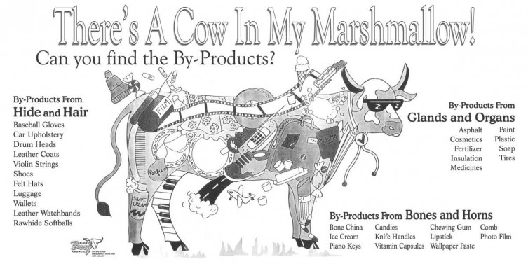 KLA Cow Graphic KLA Cow Graphic