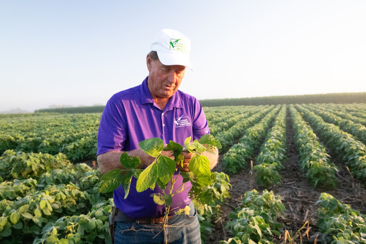 Ron Ohlde Kansas family farmer checking plant