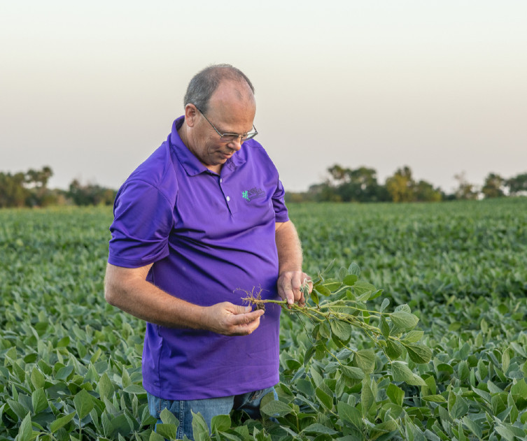 John Pracht examining soybean plant