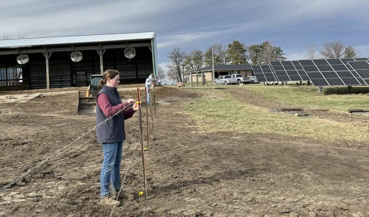 Rokeyroad Holsteins solar panels