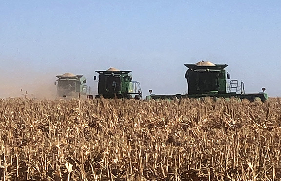 Suppes Kansas farm sorghum harvest