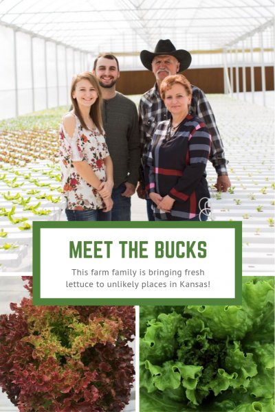 Bucks Hydroponics
