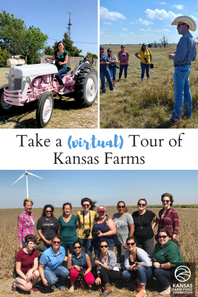 Take a virtual farm tour - pin this
