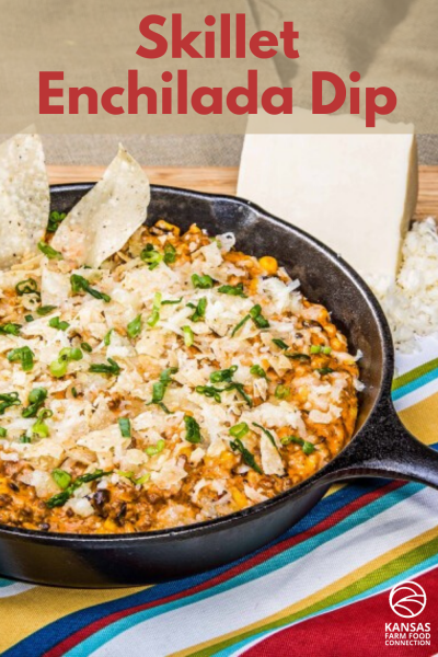 Skillet Enchilada Dip Delicious and Easy Skillet Enchilada Dip