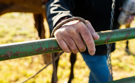 Close up on farmer hands