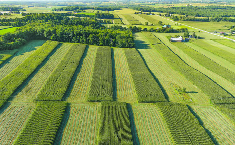 Crops grown in the United States